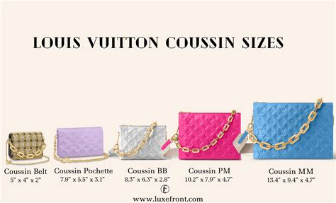 lv coussin bag sizes.